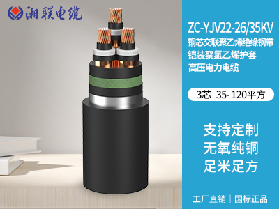 銅芯交聯(lián)聚乙烯絕緣鋼帶鎧裝聚氯乙烯護(hù)套高壓電力電纜 銅芯交聯(lián)聚乙烯絕緣鋼帶鎧裝聚氯乙烯護(hù)套高壓電力電纜